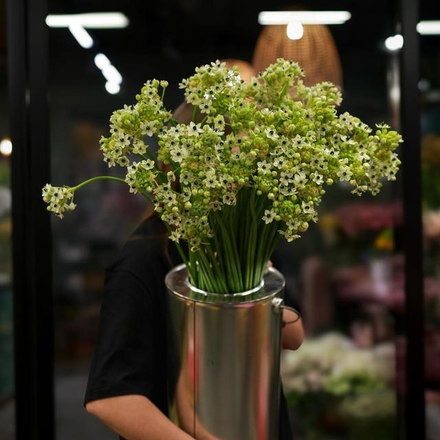 Орнитогалум