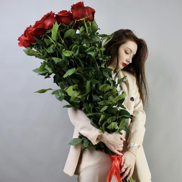 Роза Эквадор Explorer 120 см