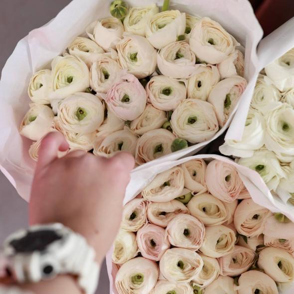 Ранункулюс