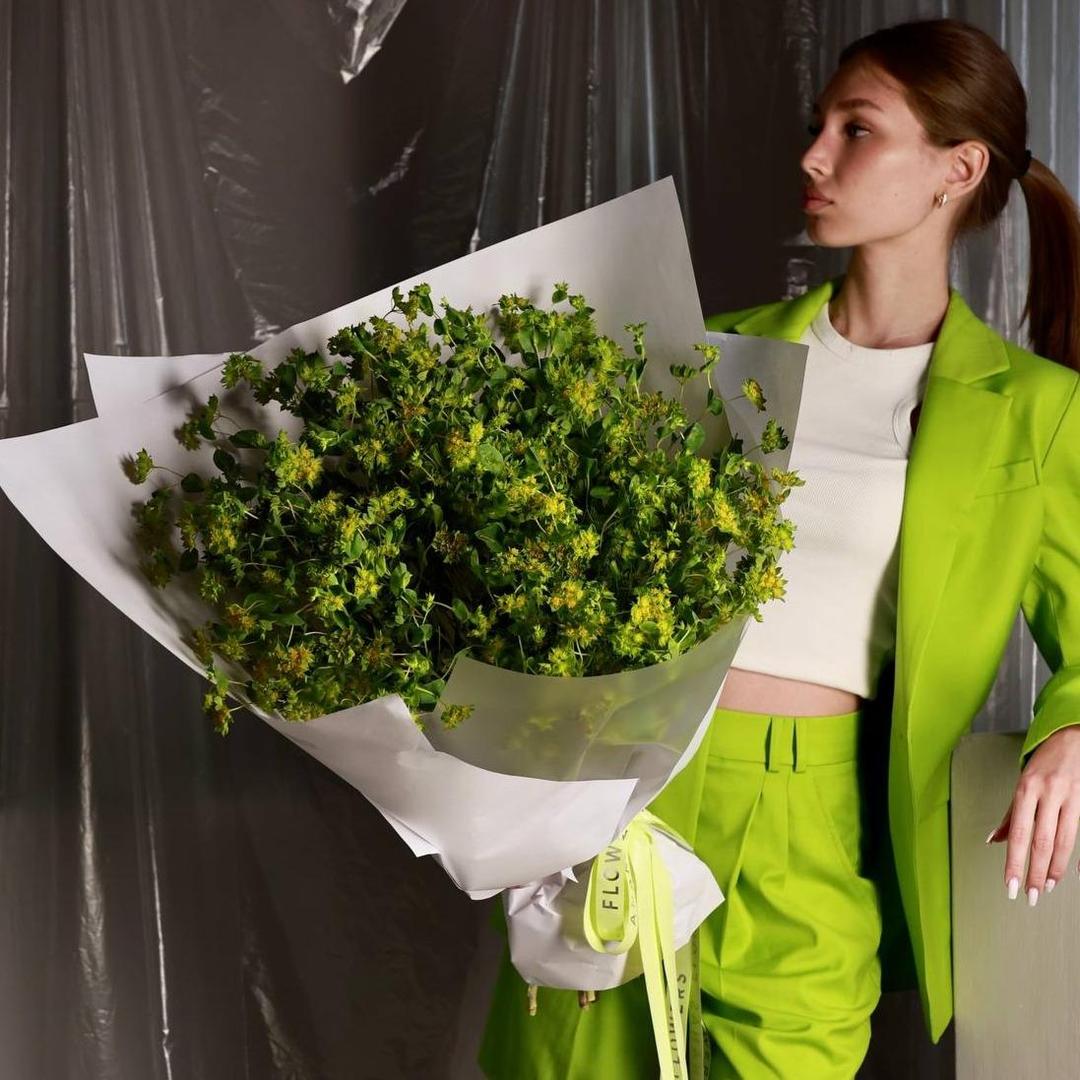 Монобукет из зеленого буплерума