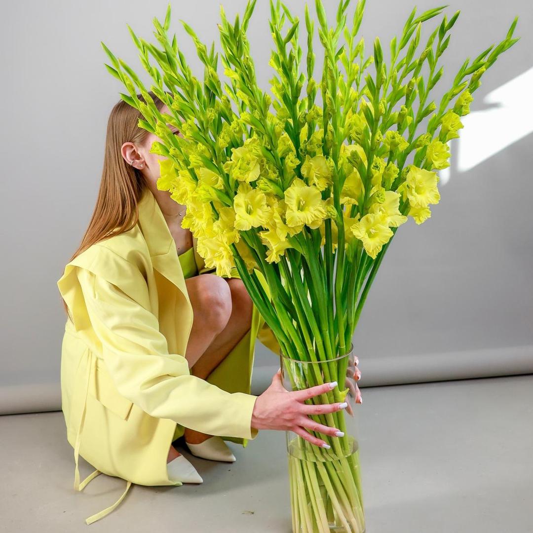 Гладиолус желтый