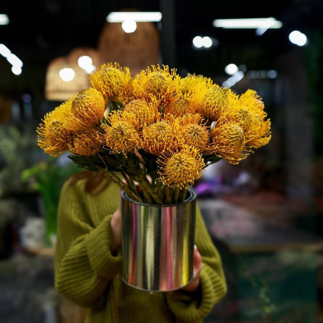 Нутан жёлтый