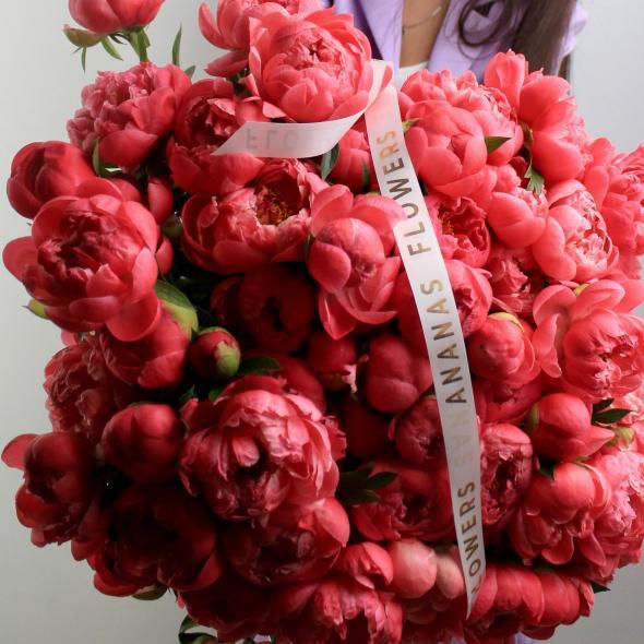 Пион Coral Сharm (цена за 1 шт)